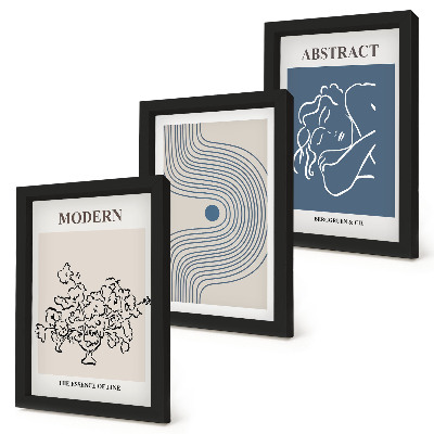 Lot de 3 tableaux Affiches de fleurs, lignes et formes abstraites