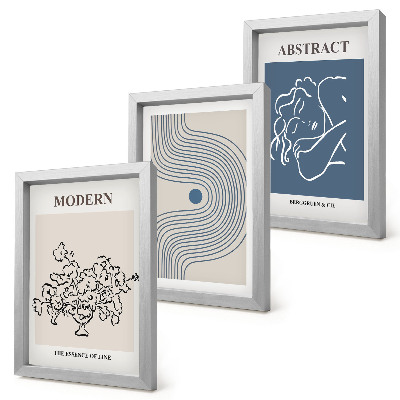 Lot de 3 tableaux Affiches de fleurs, lignes et formes abstraites