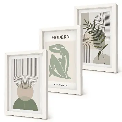 Lot de 3 tableaux avec des graphismes élégants, des formes abstraites et des plantes