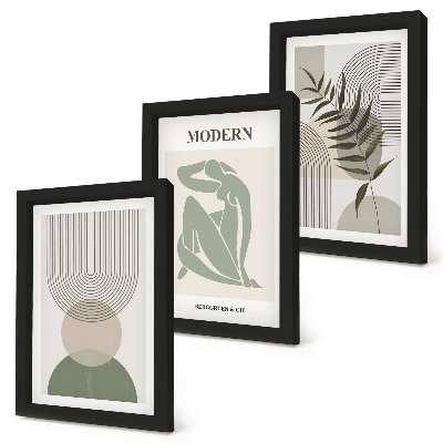 Lot de 3 tableaux Des graphismes élégants avec des formes abstraites et des plantes
