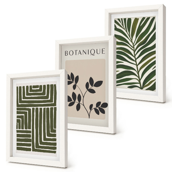 Lot de 3 tableaux Compositions botaniques dans le style du minimalisme bohème