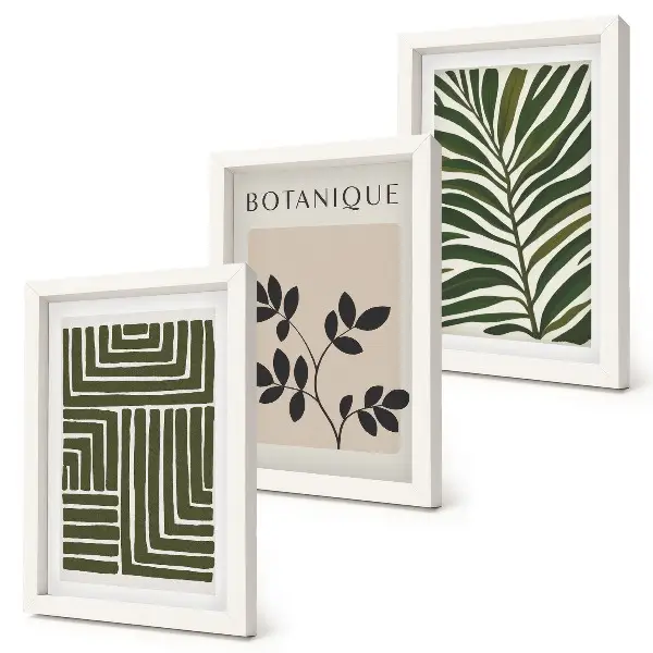 Lot de 3 tableaux compositions botaniques dans un style minimaliste bohème