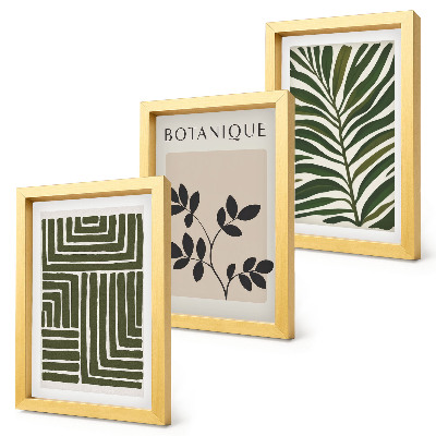 Lot de 3 tableaux Compositions botaniques dans le style du minimalisme bohème