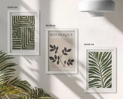 Lot de 3 tableaux compositions botaniques dans un style minimaliste bohème