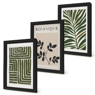 Lot de 3 tableaux Compositions botaniques dans le style du minimalisme bohème