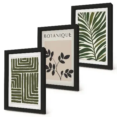 Lot de 3 tableaux compositions botaniques dans un style minimaliste bohème