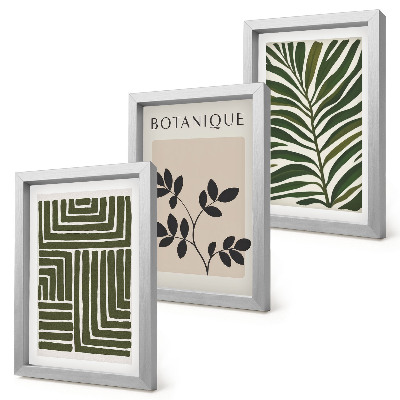 Lot de 3 tableaux Compositions botaniques dans le style du minimalisme bohème
