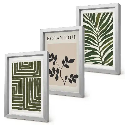 Lot de 3 tableaux compositions botaniques dans un style minimaliste bohème