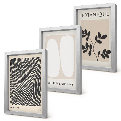 Lot de 3 tableaux Motifs floraux et lignes minimalistes dans des couleurs neutres