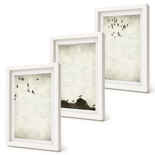 Ensemble de 3 tableaux Vol d'oiseaux style minimaliste