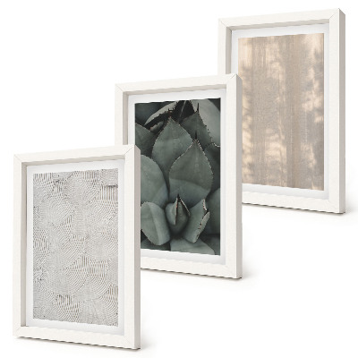 Ensemble de 3 tableaux Gros plan sur les textures estivales dans un climat tropical