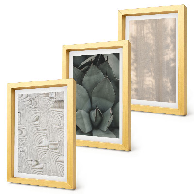 Ensemble de 3 tableaux Gros plan sur les textures estivales dans un climat tropical