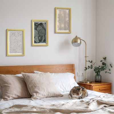 Ensemble de 3 tableaux Gros plan sur les textures estivales dans un climat tropical