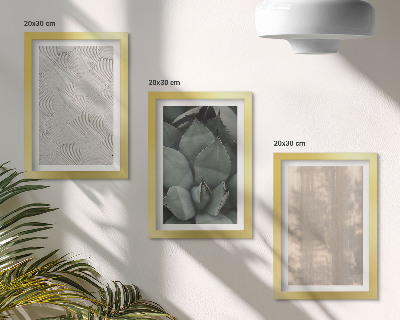 Ensemble de 3 tableaux Gros plan sur les textures estivales dans un climat tropical