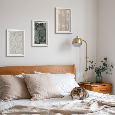 Ensemble de 3 tableaux Gros plan sur les textures estivales dans un climat tropical
