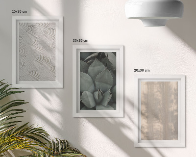 Ensemble de 3 tableaux Gros plan sur les textures estivales dans un climat tropical