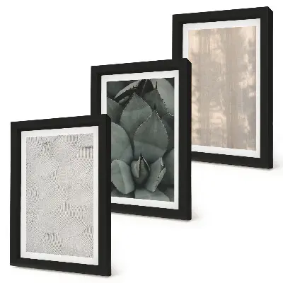 Ensemble de 3 tableaux gros plan sur des textures estivales dans un climat tropical