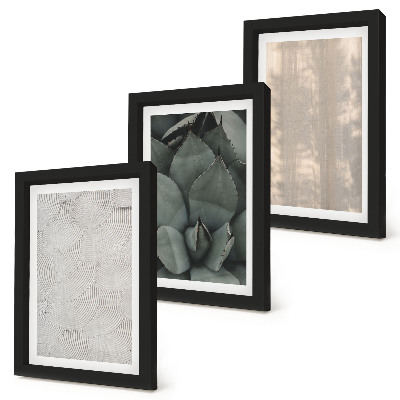 Ensemble de 3 tableaux Gros plan sur les textures estivales dans un climat tropical