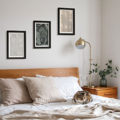 Ensemble de 3 tableaux Gros plan sur les textures estivales dans un climat tropical