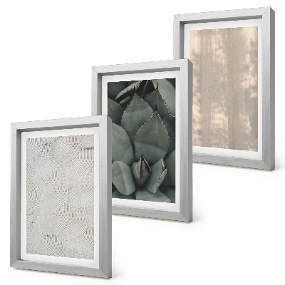 Ensemble de 3 tableaux Gros plan sur les textures estivales dans un climat tropical
