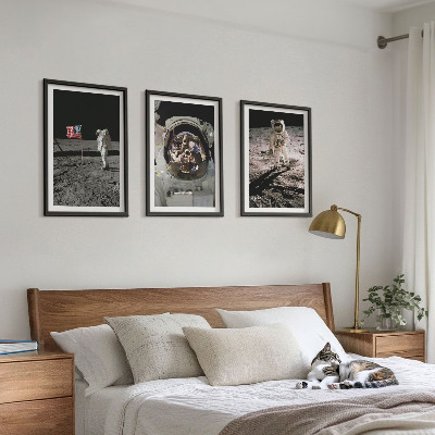 Lot de 3 tableaux pour salon Atterrissage d'astronautes de la NASA sur la Lune