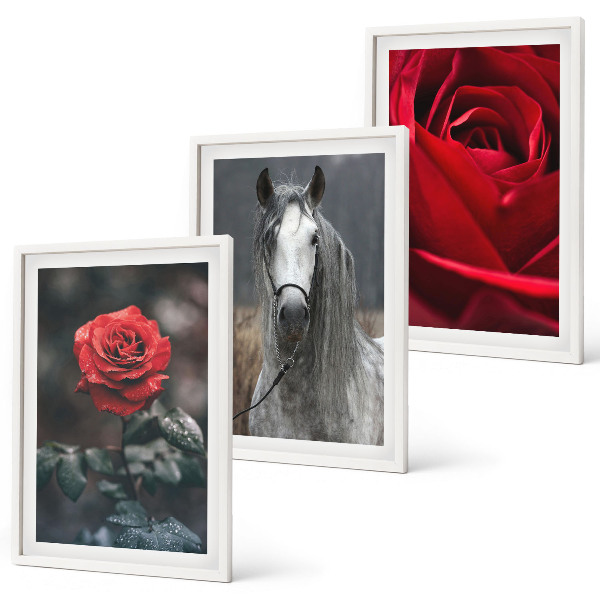 Lot de 3 tableaux pour salon Roses rouges, cheval gris, monde