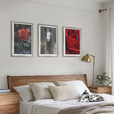 Lot de 3 tableaux pour salon Roses rouges, cheval gris, monde