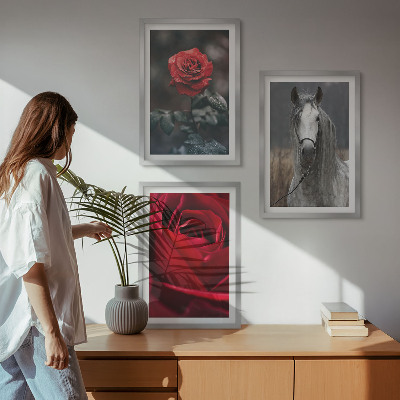 Lot de 3 tableaux pour salon Roses rouges, cheval gris, monde