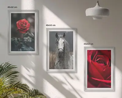 Lot de 3 tableaux pour salon représentant des roses rouges, un cheval gris et le monde
