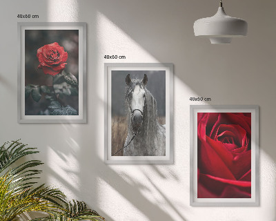 Lot de 3 tableaux pour salon Roses rouges, cheval gris, monde