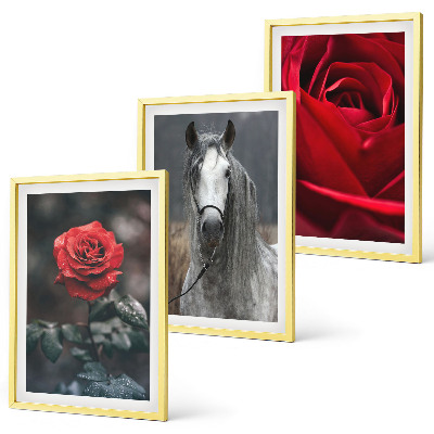 Lot de 3 tableaux pour salon Roses rouges, cheval gris, monde