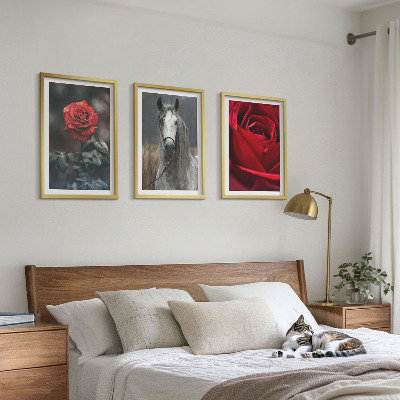 Lot de 3 tableaux pour salon Roses rouges, cheval gris, monde