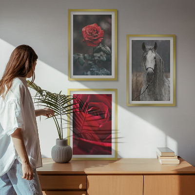 Lot de 3 tableaux pour salon Roses rouges, cheval gris, monde