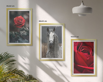 Lot de 3 tableaux pour salon Roses rouges, cheval gris, monde