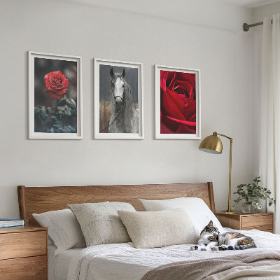 Lot de 3 tableaux pour salon Roses rouges, cheval gris, monde