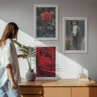 Lot de 3 tableaux pour salon Roses rouges, cheval gris, monde
