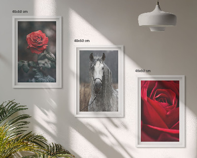 Lot de 3 tableaux pour salon Roses rouges, cheval gris, monde