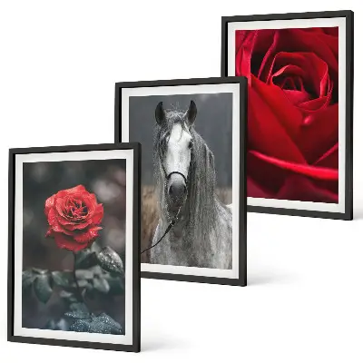 Lot de 3 tableaux pour salon représentant des roses rouges, un cheval gris et le monde