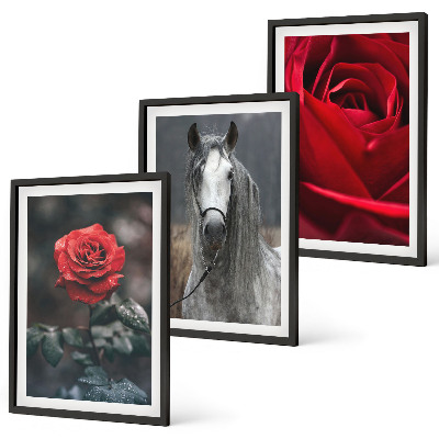 Lot de 3 tableaux pour salon Roses rouges, cheval gris, monde