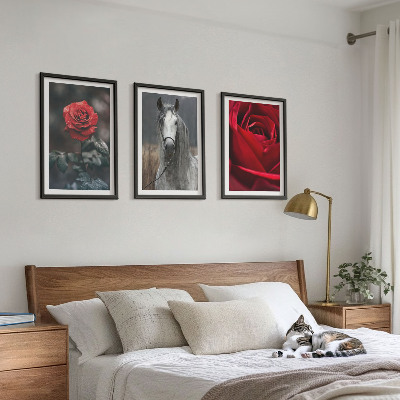 Lot de 3 tableaux pour salon Roses rouges, cheval gris, monde