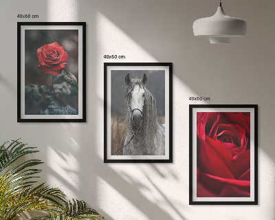 Lot de 3 tableaux pour salon Roses rouges, cheval gris, monde