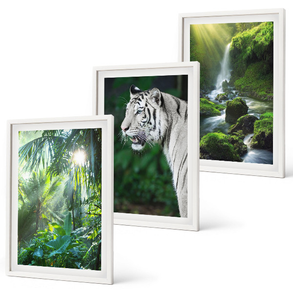 Cadre photo mural Cascade du tigre de la jungle