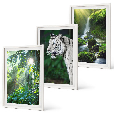 Cadre photo mural Cascade du tigre de la jungle