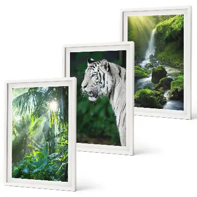 Cadre photo mural motif cascade du tigre dans la jungle