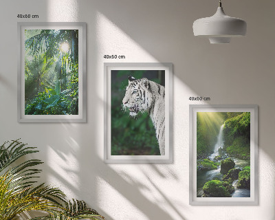 Cadre photo mural Cascade du tigre de la jungle