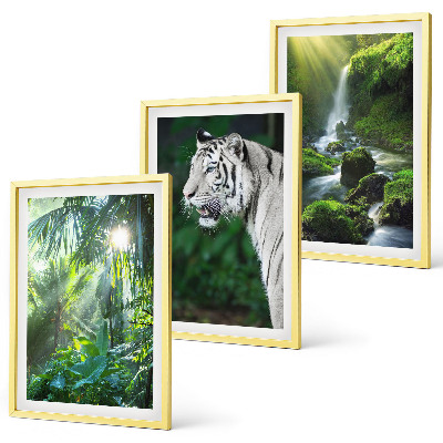 Cadre photo mural Cascade du tigre de la jungle