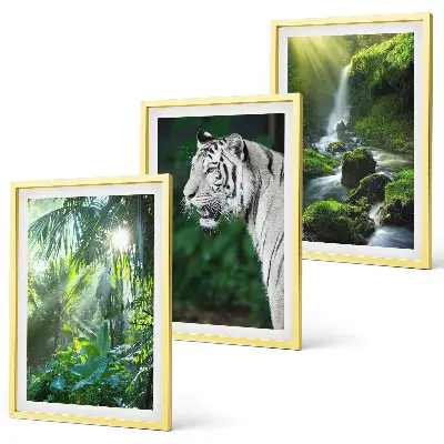 Cadre photo mural motif cascade du tigre dans la jungle