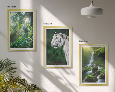 Cadre photo mural Cascade du tigre de la jungle