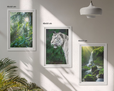 Cadre photo mural Cascade du tigre de la jungle