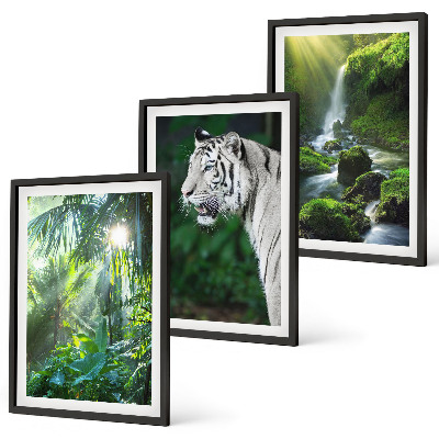 Cadre photo mural Cascade du tigre de la jungle